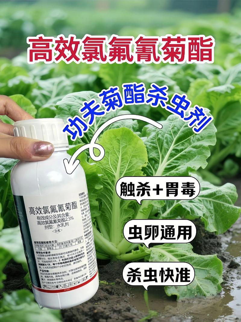 沧州代生中心:农药对供卵代生妈妈的危害